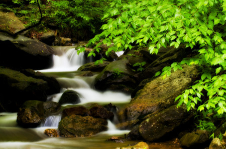 Amacola Falls N. Ga