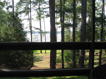 View from Mother's deck.