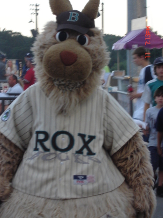 this is k-o from the brockton rox