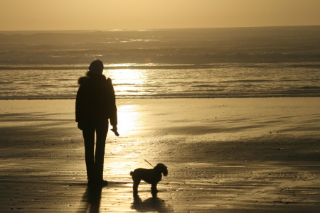 The Beach in Florence, Oregon