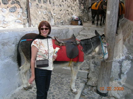 Jenny and the Mule