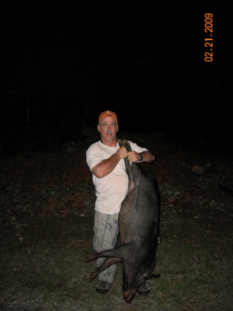 Wild Pig (Guam)