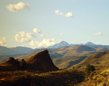 Beautiful Twisp, Washington