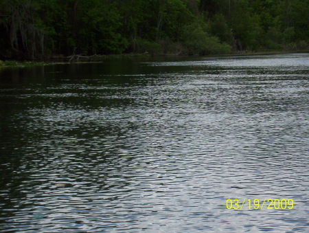 silver springs 042