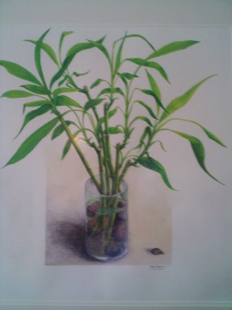 Bamboo...Watercolor