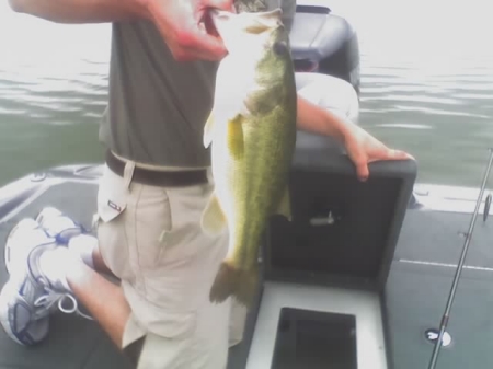 Another Large Mouth for Eric