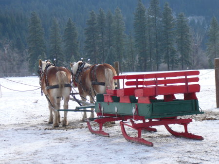 Our sleigh