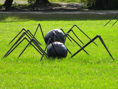 Halloween Spiders.