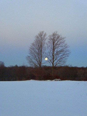 full moon over the farm