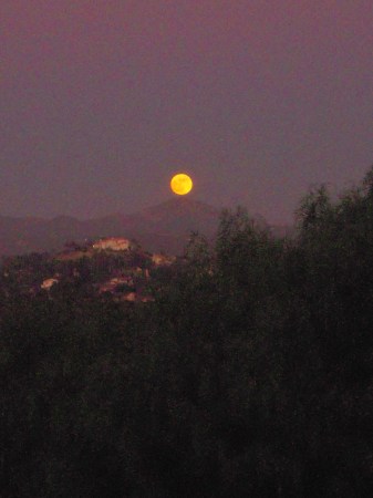 Harvest Moon Rising