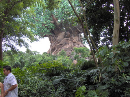 Animal Kingdom_012