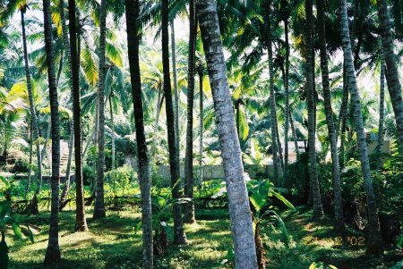 Kerala, India