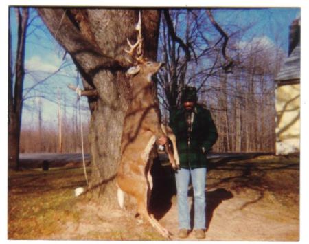 9pt Dewitt 24 inch spread