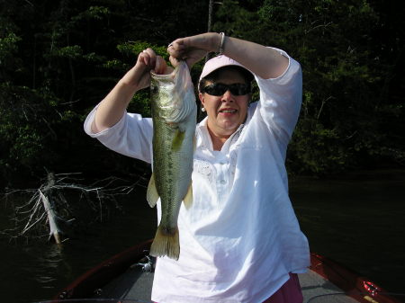 Bass on Belews Creek