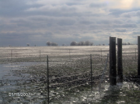 Pasture in January