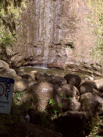 Manoa Falls Oahu Hawaii