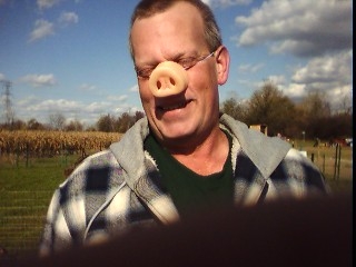 mark pig