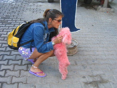 There's no such thing as a pink poodle?