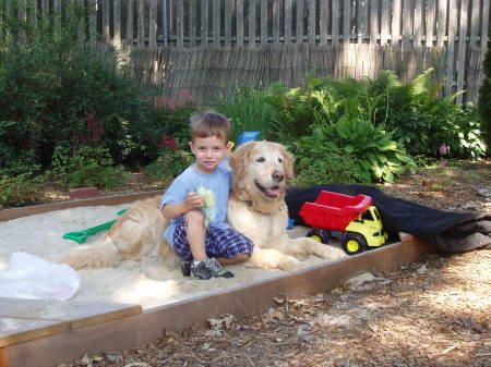 Right at Home in the Sand Box