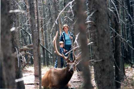 Yellowstone, 1983