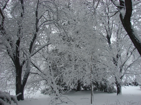 Spring Snowstorm  03-28-09