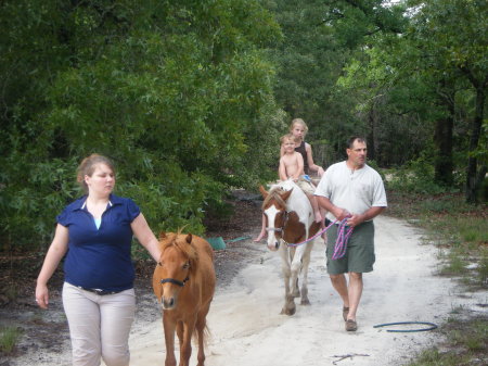 taking horses for a walk