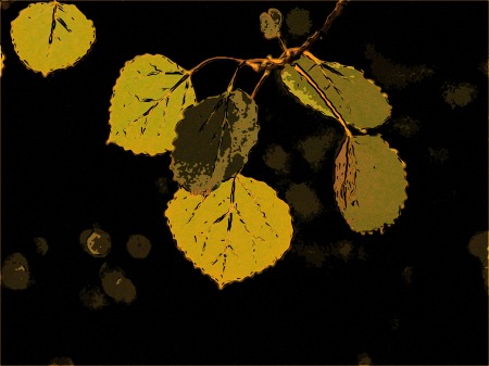 aspen leaves 2 bleach bypass 6