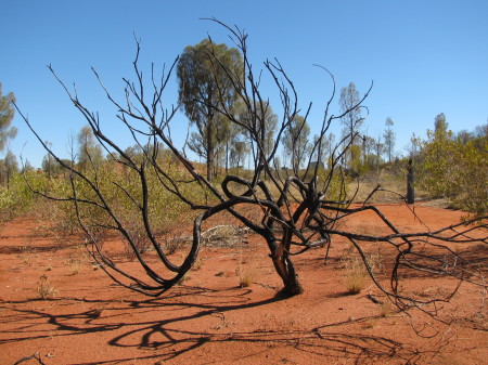 Bushwalking in the outback, Ayers Rock, AU '09
