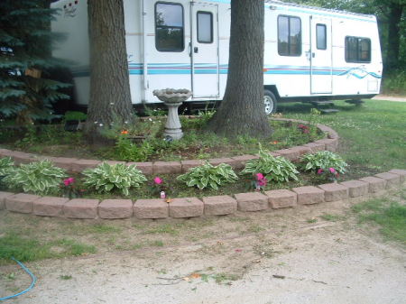 Hosta La vista