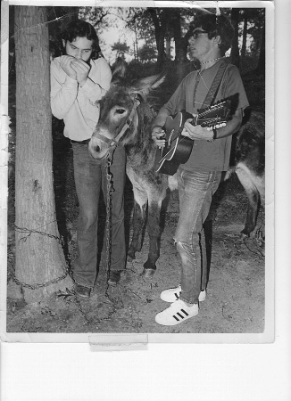 dave, me, and mule