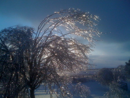 Ice storm 2009