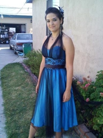 My Daughter's Prom 6/2009