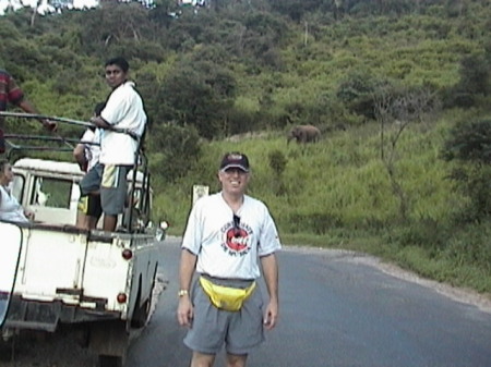 Elephant safari