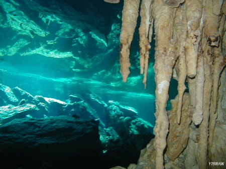 Another shot of the Cenote in Mexico