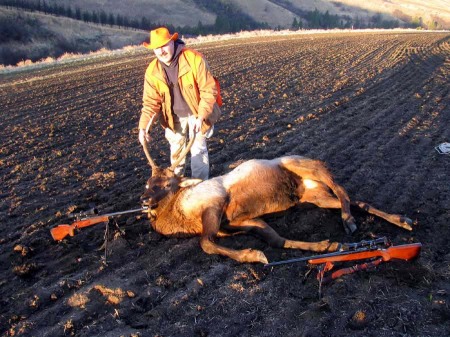 Elk Season 2009