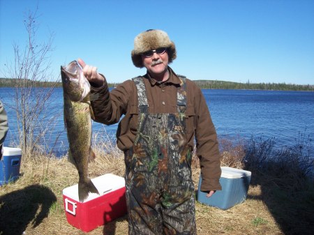 Walleye