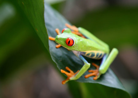 Quepos, Costa Rica