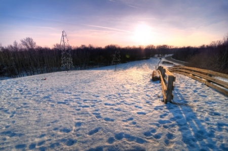 Edward Hines Park - Winter