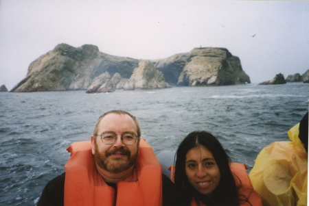 seal island off Peru