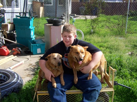 My son Justing with our dogs