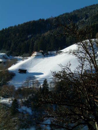 Winter Deepens in the Lower Elevations