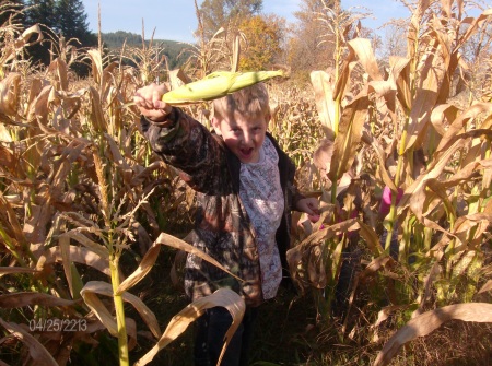 Children of the corn