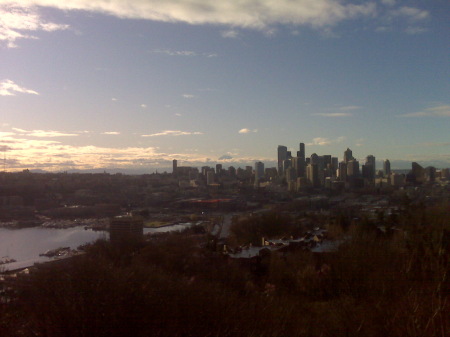 From my window early on a Saturday in February