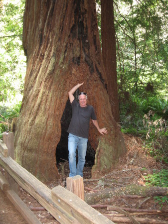 Muir Woods, CA