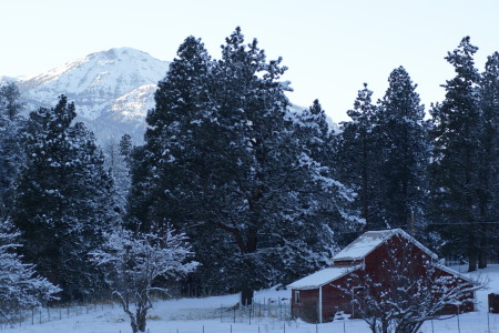 Winter in the mountains