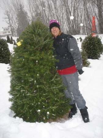 Christmas tree hunting