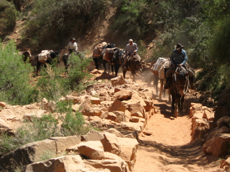 the hike down