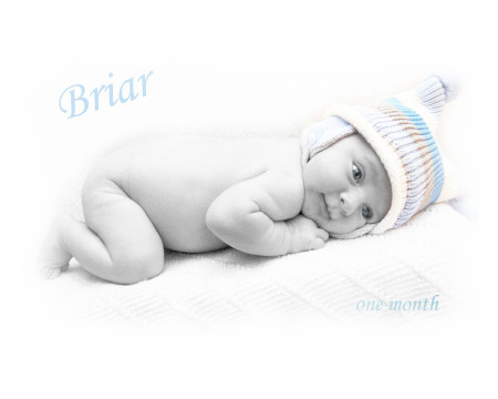 Briar