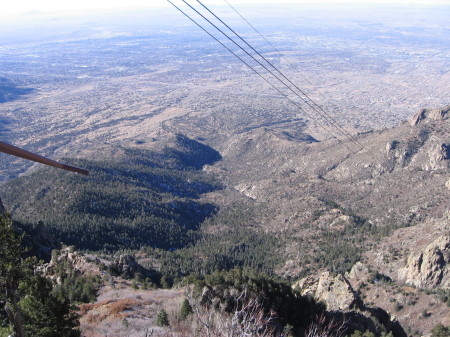 From the longest Tram in the world...