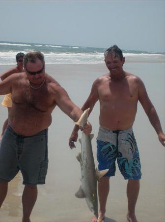 shark fishing at end of the road